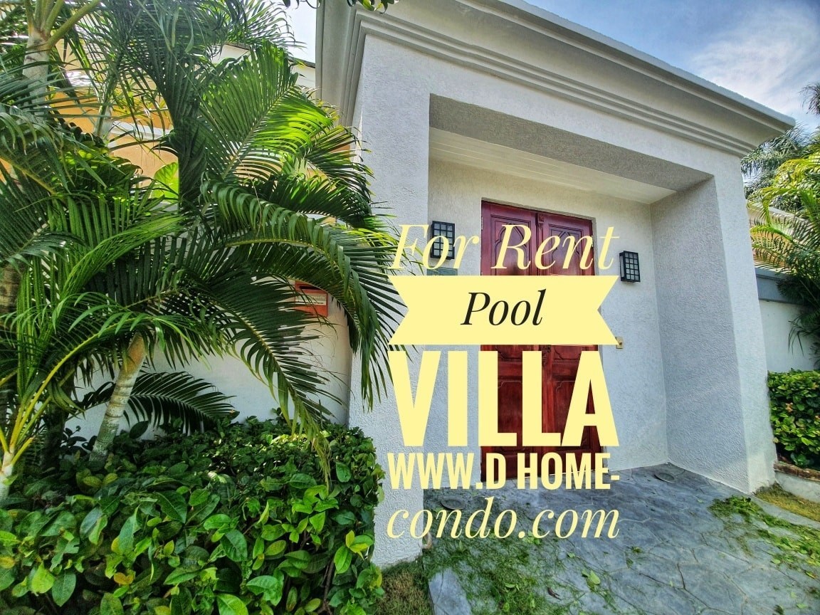 Luxury Pool Villa for Rent  @Soi Khao Talo - House -  - 